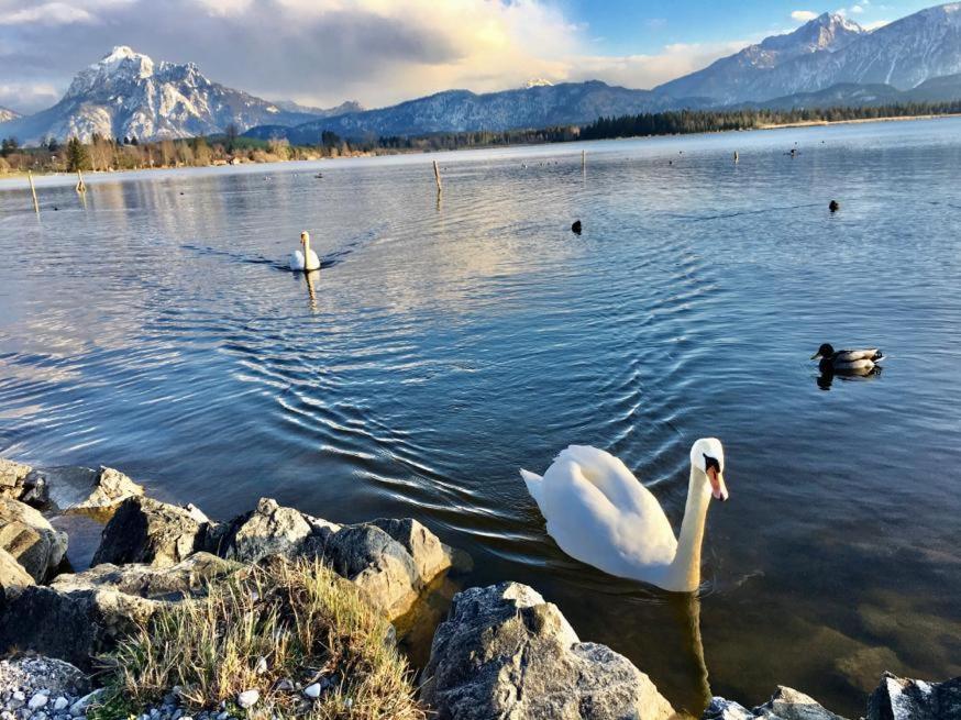 Hotel Fischer Am See Füssen Eksteriør bilde